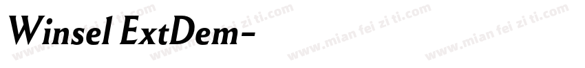 Winsel ExtDem字体转换